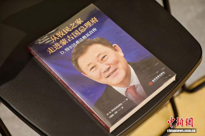 2026世界杯：焦点球队深度解析 - 世界杯直播